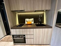 The Hyde (D10), Condominium #519542571